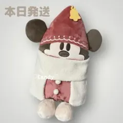 リルリンリン ブランケット 2025 ディズニーリゾート