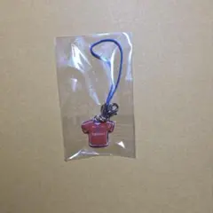 Vファーレン長崎　ヴィヴィくん　根付け
