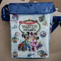 東京ディズニーリゾート バケーションパッケージ