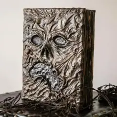 ★未使用 ネクロノミコン 悪魔の書 死霊のはらわた 3D 特別限定版 洋書