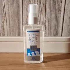 Item thumbnail for item 462237da-e639-47c7-b597-e1426a0d4ee2