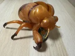 セミの脱け殻　(左前脚欠損)フィギュア 約20cm