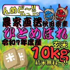 宮城県栗原市産 ひとめぼれ 10kg 玄米 農家直送 令和7年 環境保全米