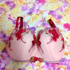 サルートラプンツェル ブラジャーショーツセット I80/LL@本日限定価格