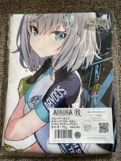 Item thumbnail for item cc12a17e-0afc-4b46-9912-3c01590e8cae