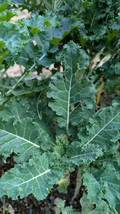 Item thumbnail for item dc8548b1-0689-4e5c-bd9d-1fa22cc7569a