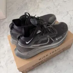 Nike GORE-TEX ブラック スニーカー ペガサストレイル