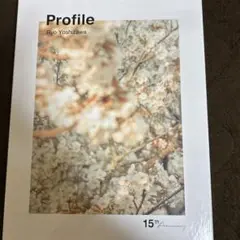 Profile Ryo Yoshizawa 15th Anniversary