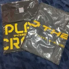 ふみふみ様専用、サンダーズセット