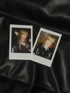 Royz 智也チェキ