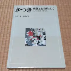 Item thumbnail for item 13c0242f-4ad0-43fc-846c-3cf1f4688364