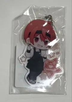 2025年最新】ちょこらびまいたけの人気アイテム - メルカリ