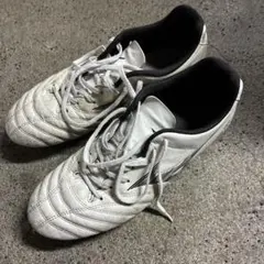 ま*ん様 MIZUNOモナルシーダネオ