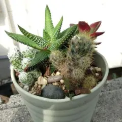 sgisl5162様 リクエスト 2点 まとめ商品