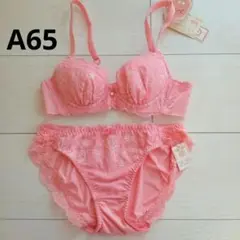 チュチュアンナA65上下セット