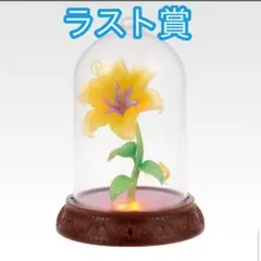 一番くじ〈ディズニープリンセス〉Dream in color ラスト賞