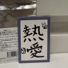 東海オンエア　抱負缶バッジ　りょう　熱愛