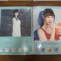 乃木坂46　阪口珠美　ポスターセット