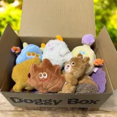 ゆりかもめ線すーぷ様専用　Doggy Box ドギーボックス　犬用おもちゃ
