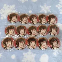 ヘタリア フラワーパレード SD缶バッジ 中国 まとめ売り ヘタリア 中国 フラワーパレード 缶バッジ まとめ売り セット