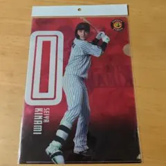 阪神タイガース 木浪聖也 クリアファイル　2枚組