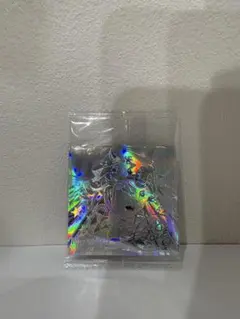 ジョジョの奇妙な冒険シールウエハース★5thR★ジョニィ・ジョースター★