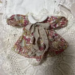 ブライスアウトフィット