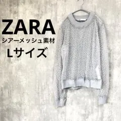ZARA シアー 透け感 パール ビーズ ファイバー 長袖 ラメ トップス 銀色