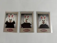 Skzoo リノ skz-X ペンミ ポラ StrayKids スキズ