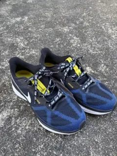 NIKE エア ズーム ストラクチャー 25 DJ7883 003
