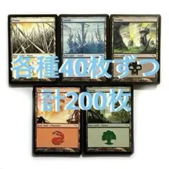 MTG 잉글리쉬 베이직 랜드 베이직 터레인 다양한 40장 총 200장 한정 수량