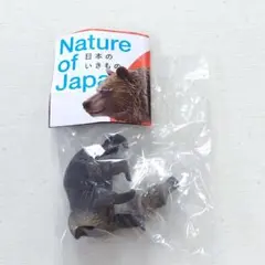 日本のいきもの vol.01 ヒグマ