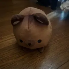 まんまるだワン