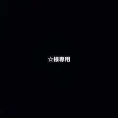 ☆様専用