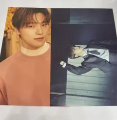 SEVENTEEN セブチ　ディノポストカード