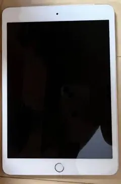 Apple iPadmini3本体