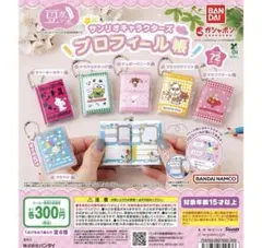 サンリオ プロフィール帳 ガチャガチャ チャーミーキティ✖️2