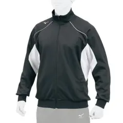 Item thumbnail for item fa9539c5-61fe-412a-be6d-74f1b3af73eb