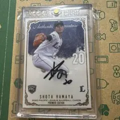 Item thumbnail for item 52fcaa2d-2968-4249-93f0-d5c1f8f2ca62