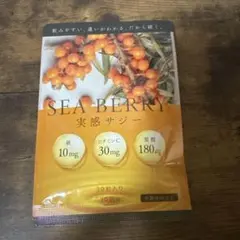 Item thumbnail for item 339e00f2-be38-496c-9a34-fb83ff530e97