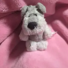 NICI シュナウザー ぬいぐるみ 10cm