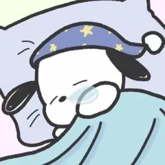 専用出品