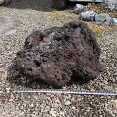 浅間溶岩石 鉢 22キロ 庭石 鑑賞石 石 石材 庭 坪庭 ガーデニング
