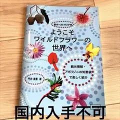 西オーストラリア　パース　ワイルドフラワー　門井美香