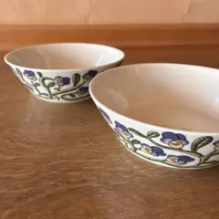 新品未使用】iittala タイカ サト 食器12点セット 2026福袋