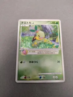 【未開封】ナエトル ヒコザル ポッチャマ プレイヤーズ プロモ 001/PPP 未開封】ナエトル ヒコザル ポッチャマ プレイヤーズ プロモ 001