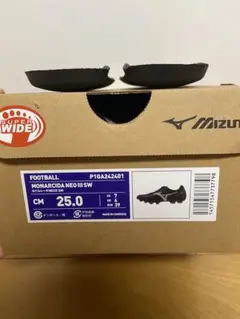 Mizuno Monarcida Neo III SW 25.0 cm 下敷き
