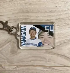 ♡ファイターズ フラッグ キーホルダー♡