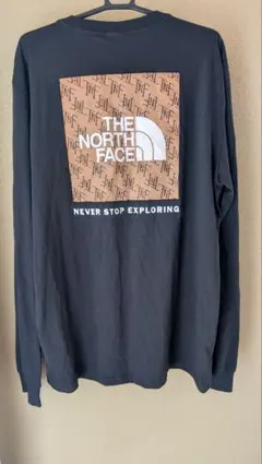 【美品】THE NORTH FACE モノグラム ロングスリーブTシャツ