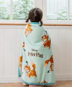 バースデイ　Nanaディズニー　ピーターパン　ナナ 毛布